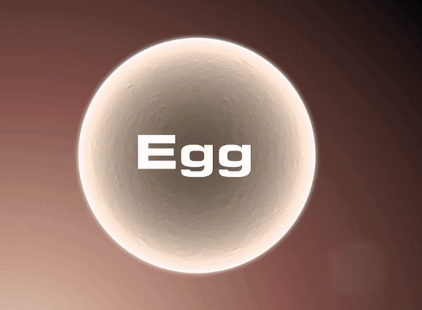 نحوه بدست آمدن سلول بنیادی