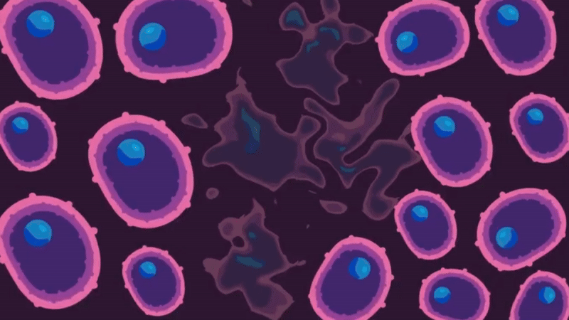 تبدیل شدن سلول بنیادی به سلول های بافت است