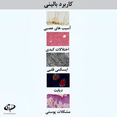 کاربردهای بالینی سلول های بنیادی