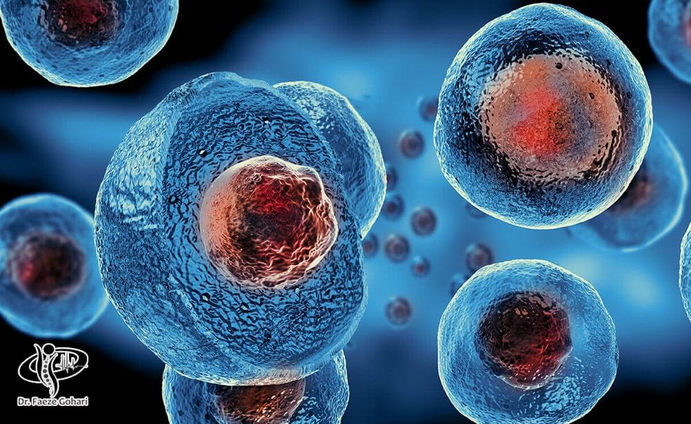 سلولهای بنیادی، سلولهای اولیه باقابلیت تبدیل به انواع مختلف سلولهای بدن