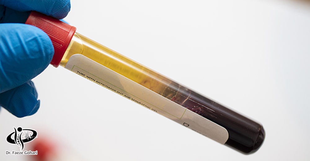 سلول‌های بنیادی، سلول‌های اولیه