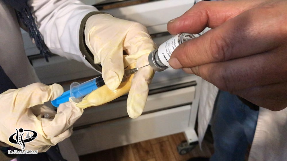 سلول بنیادی