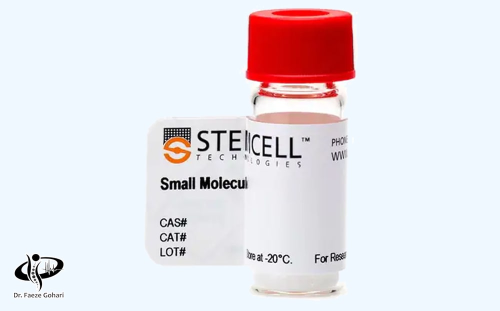 سلول بنیادی