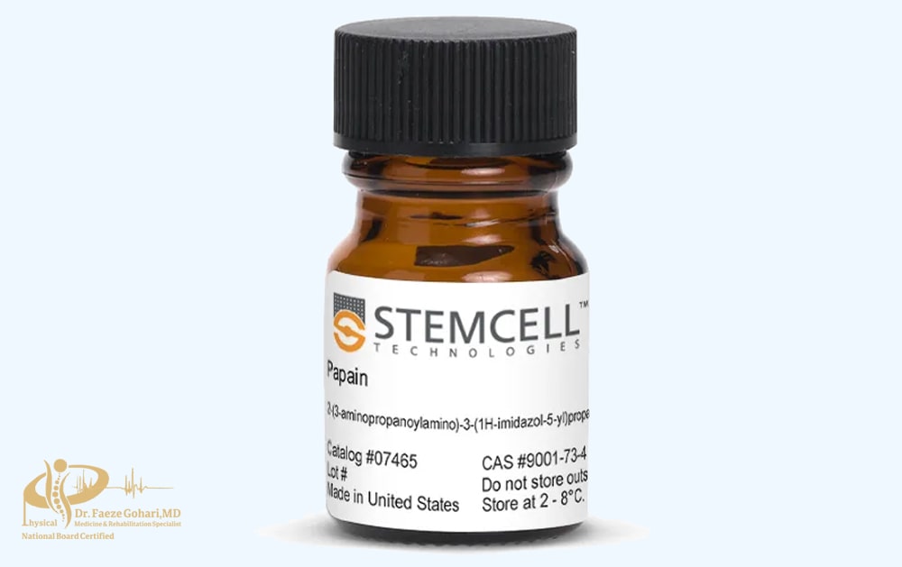 سلولهای بنیادی