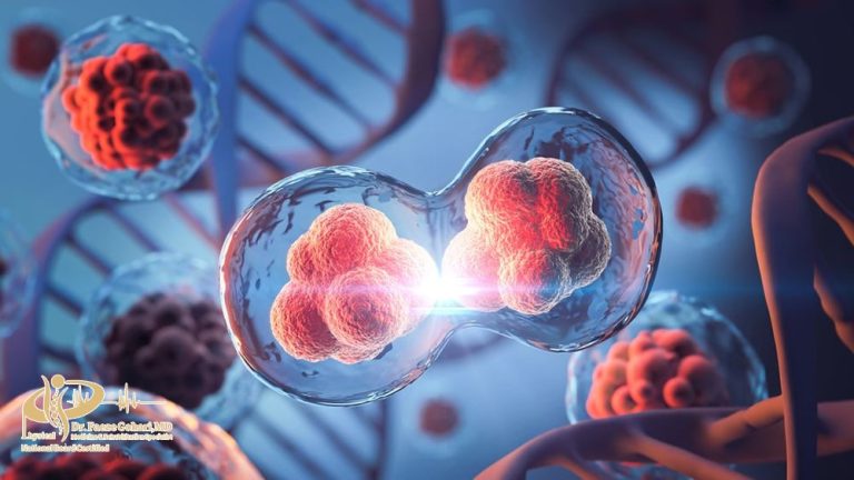 سلول های بنیادی