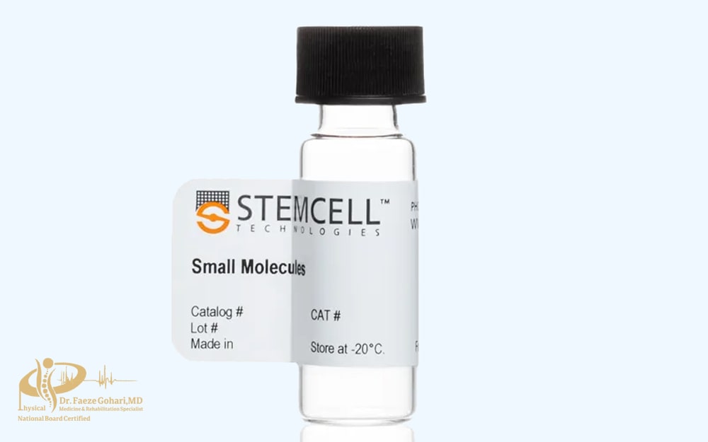 سلولهای بنیادی