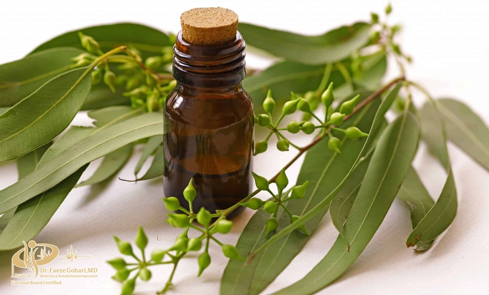 روغن اکالیپتوس